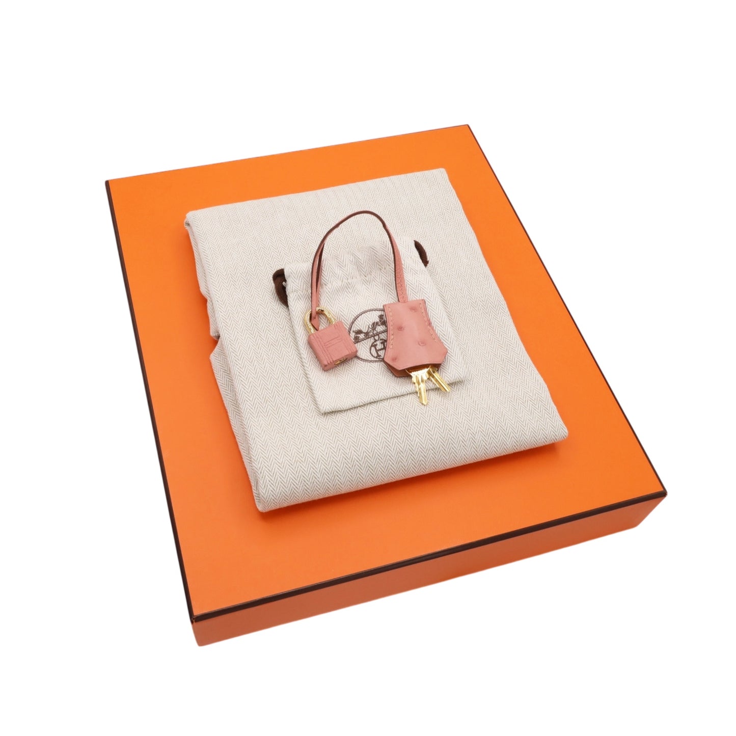 Birkin 25 鸵鸟 Terricute GP B 邮票