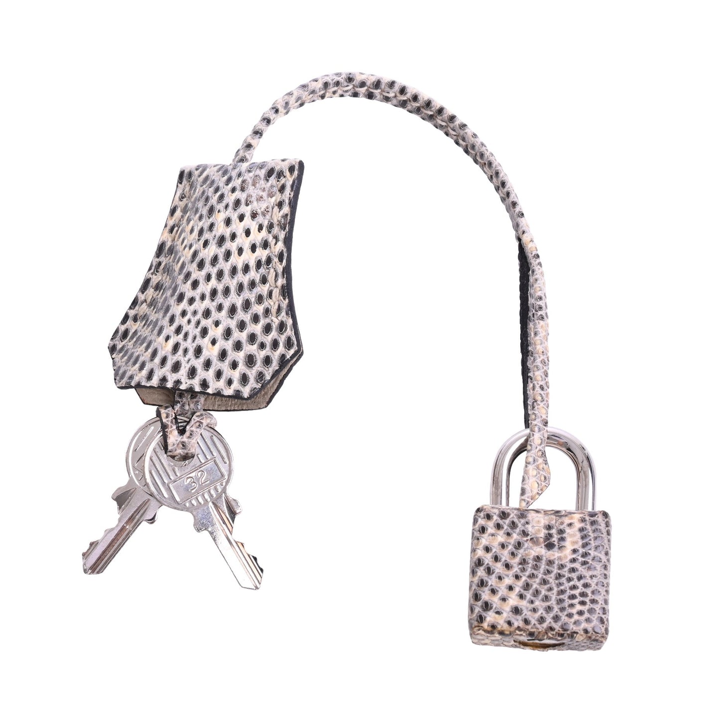 Birkin 25 Lizard Natura Ombre SS □N engraved