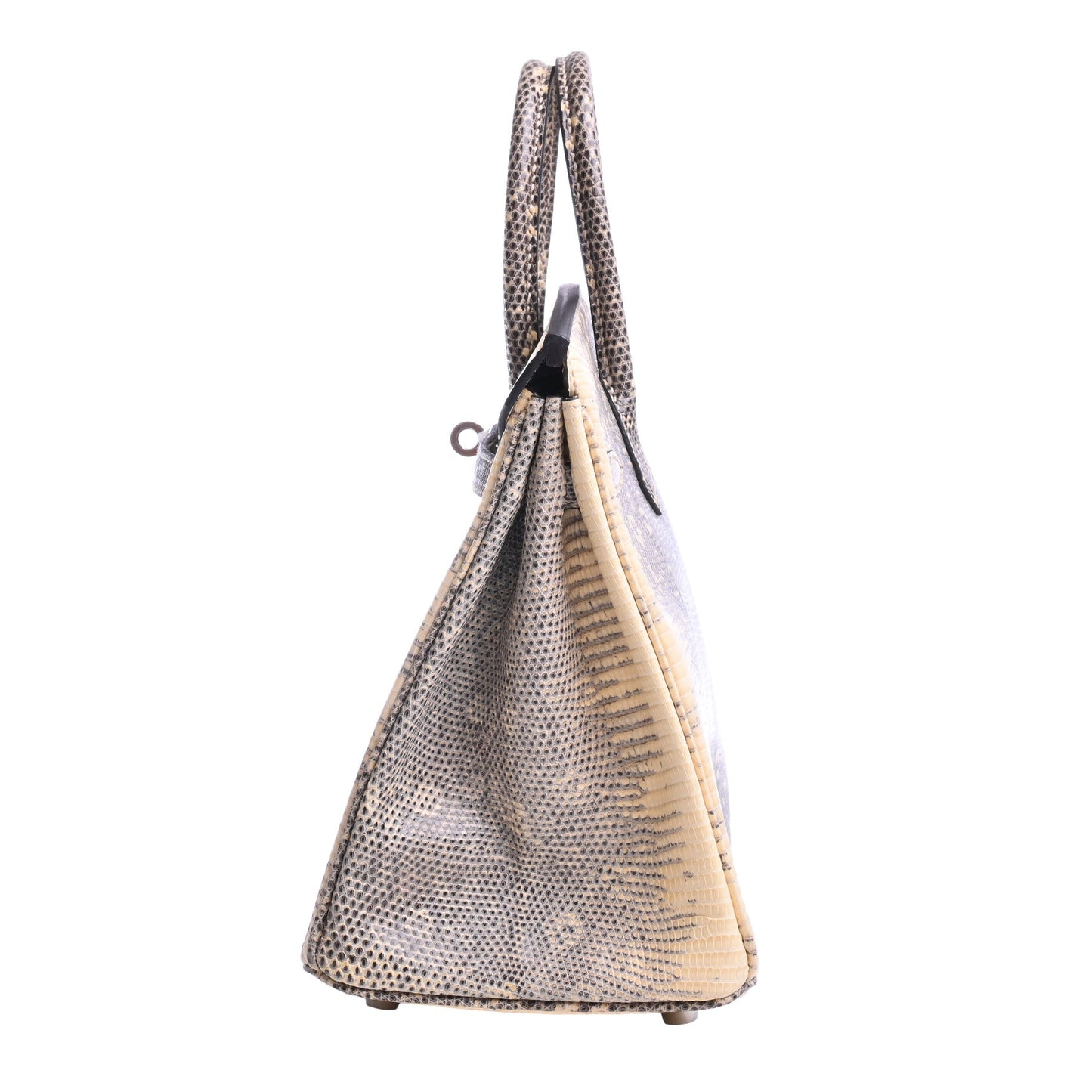 Birkin 25 Lizard Natura Ombre SS □N engraved