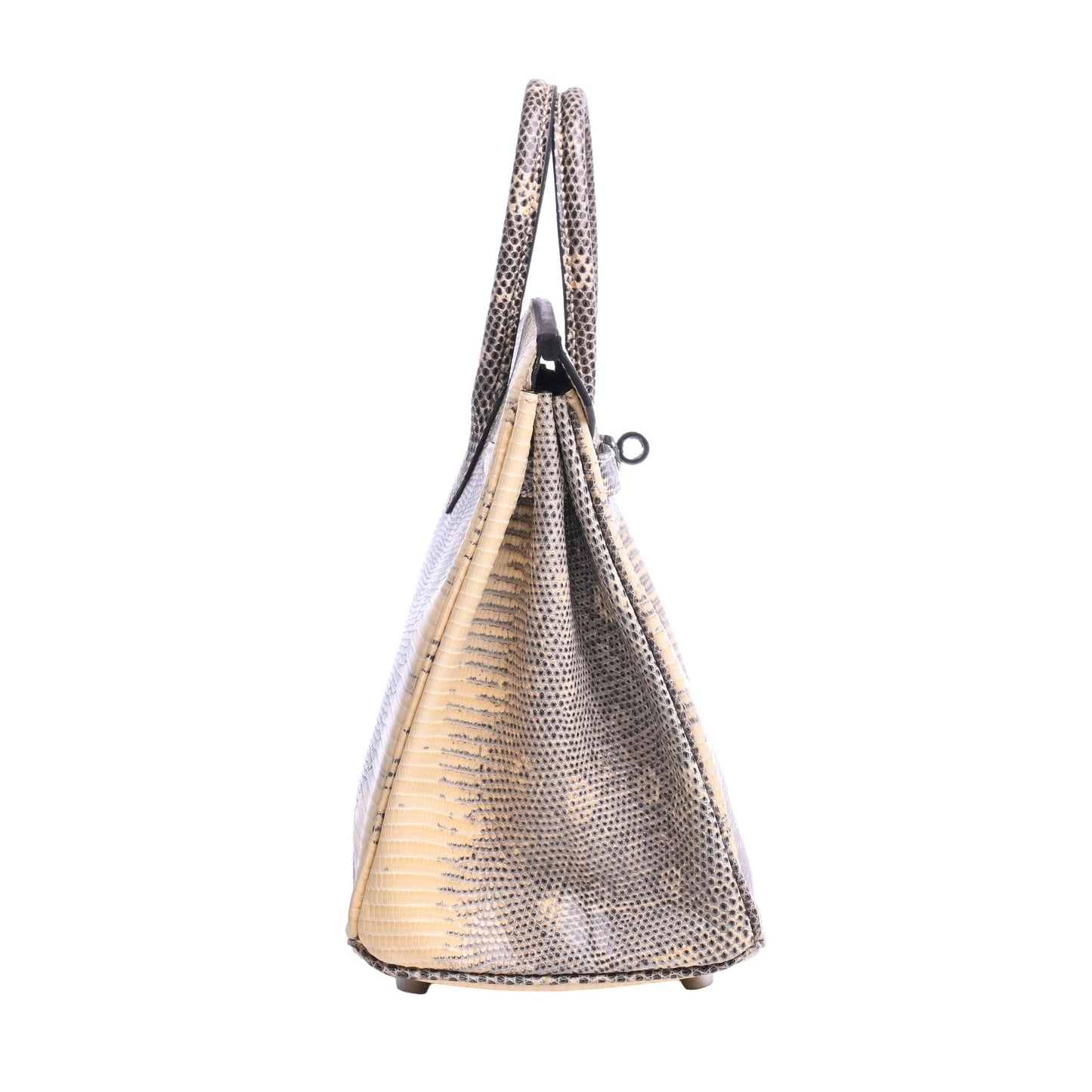 Birkin 25 Lizard Natura Ombre SS □N engraved