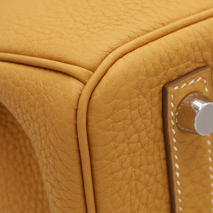 バーキン25　トゴ　ナチュラルサブレ　SS　W刻印