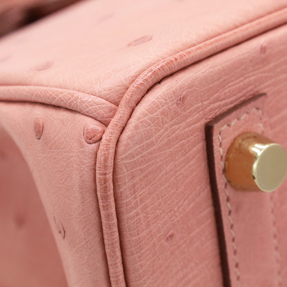 バーキン25　オーストリッチ　テリキュート　GP　B刻印