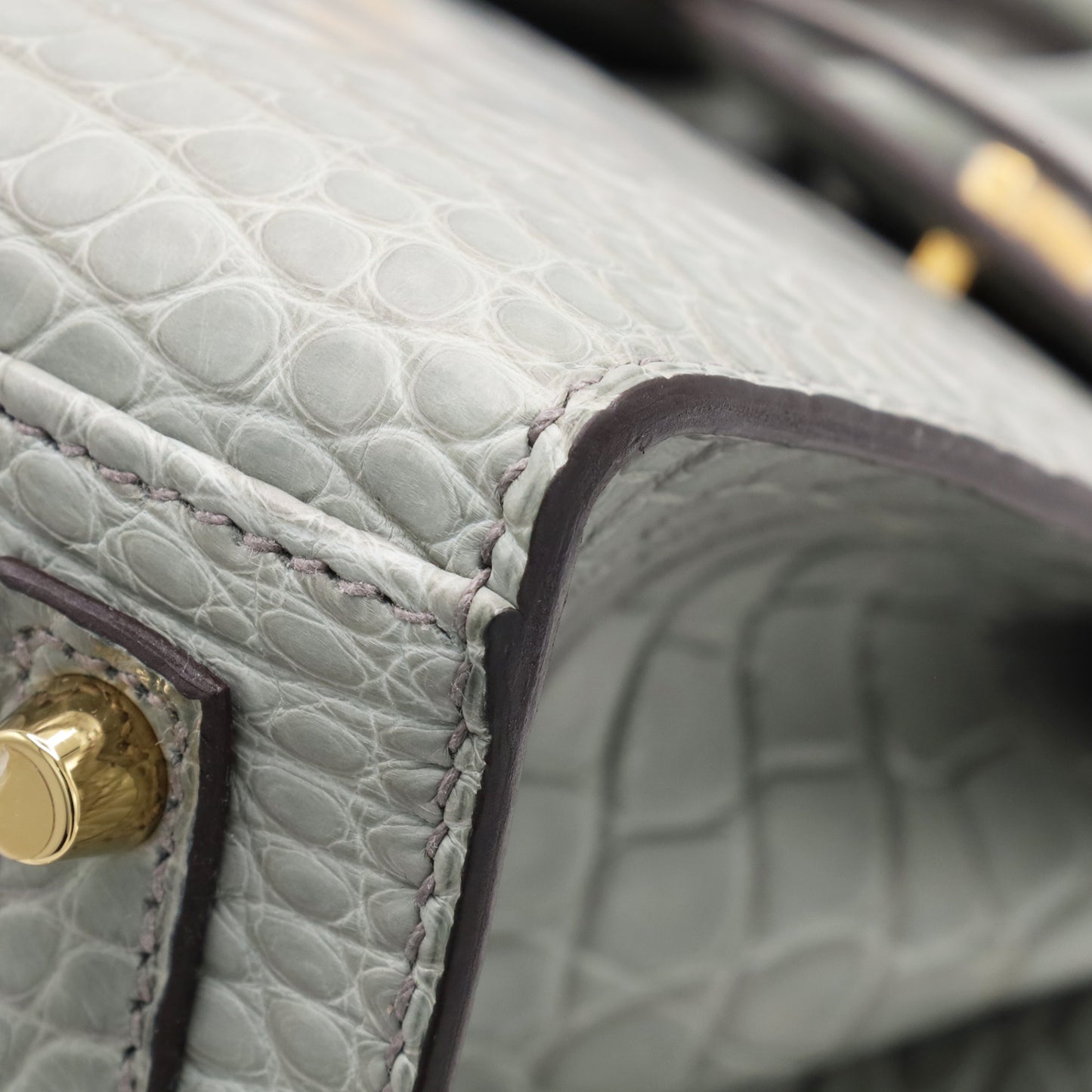 Birkin 20 Alligator Matt Griciman GP WStamp