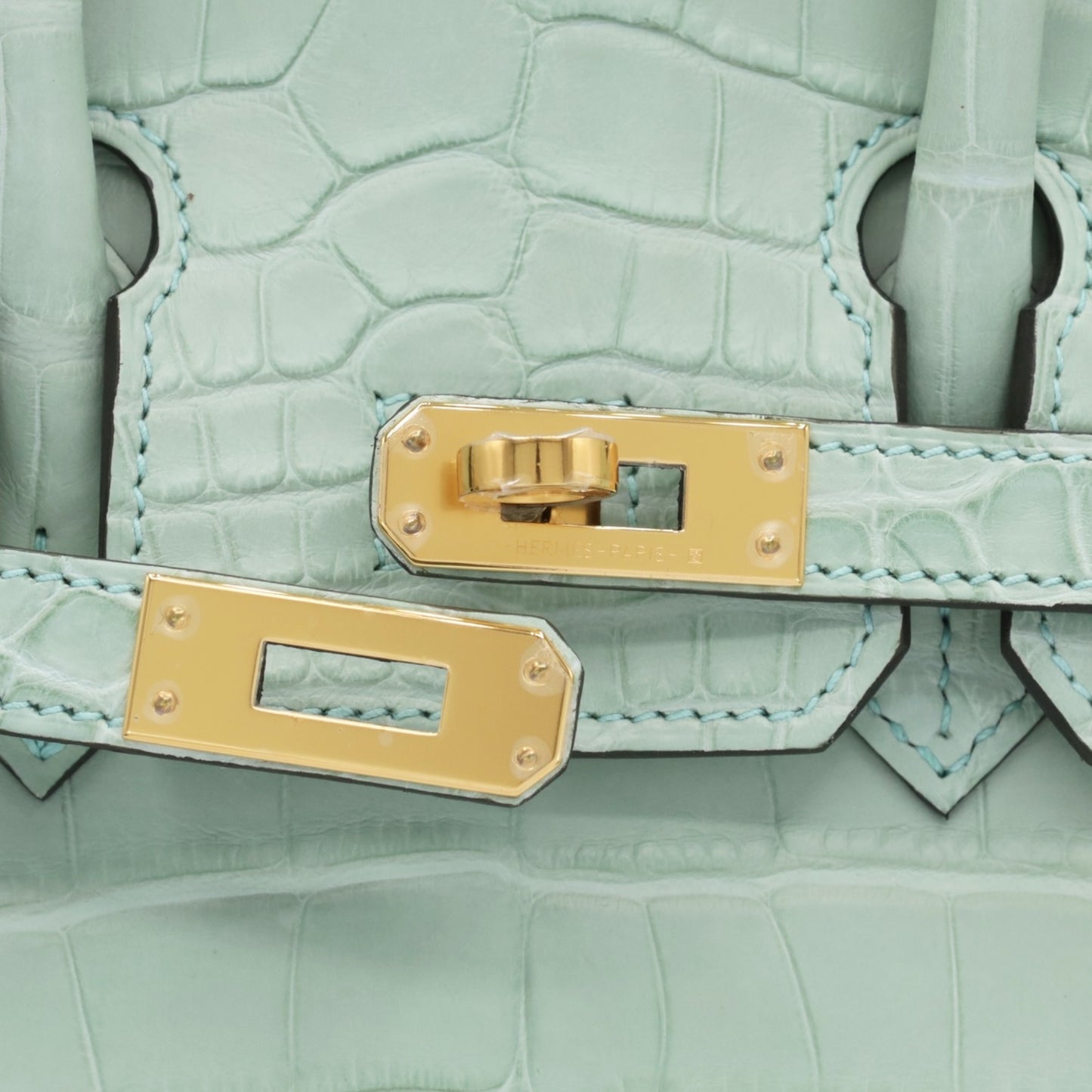 Birkin 25 鳄鱼皮 Matt Verdeaux GP W 雕刻