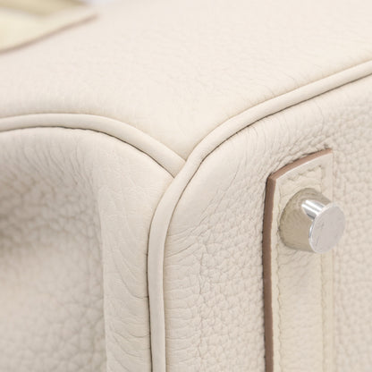 Birkin 25 Touch Alligator Matte Togo Beton SS W Engraved
