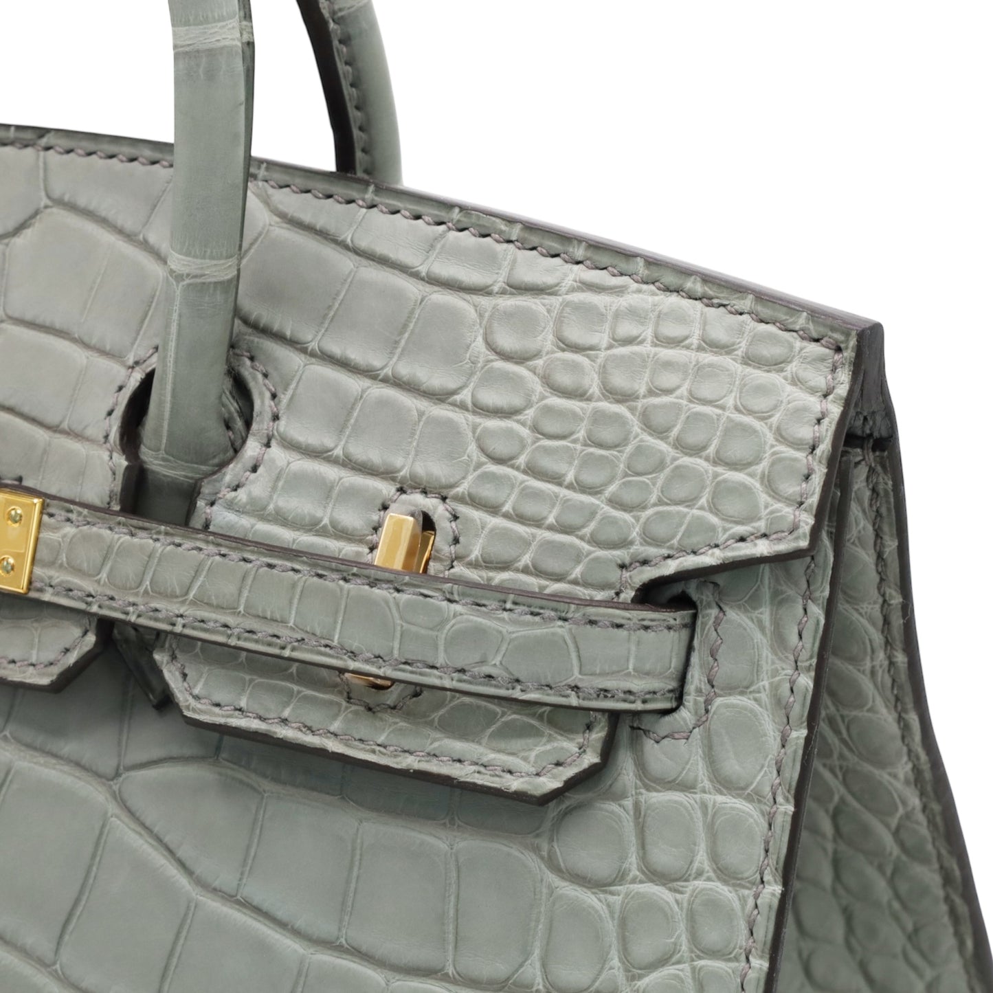 Birkin 20 Alligator Matt Griciman GP WStamp