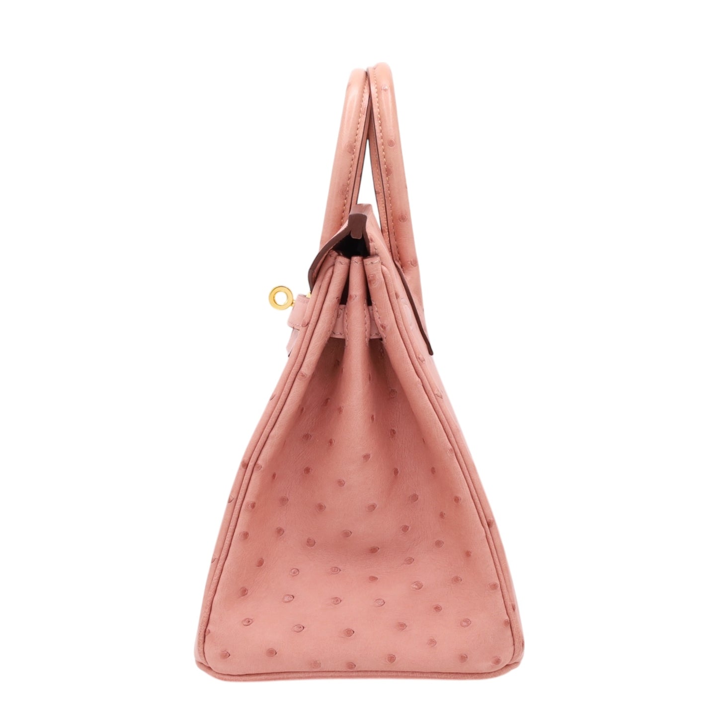 バーキン25　オーストリッチ　テリキュート　GP　B刻印