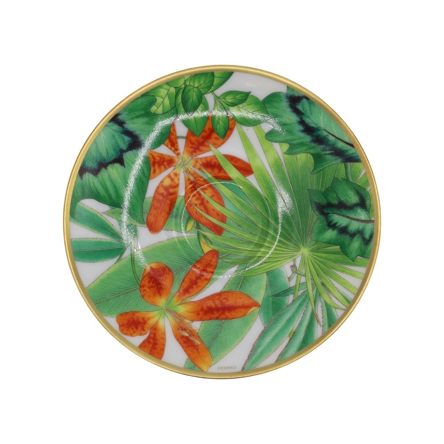 パシフェリア　コーヒーカップ＆ソーサー　ペア　グリーン