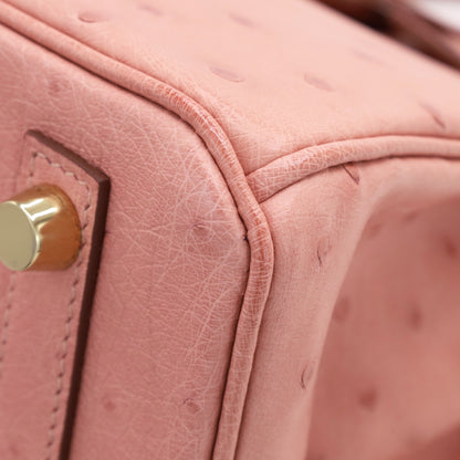 バーキン25　オーストリッチ　テリキュート　GP　B刻印