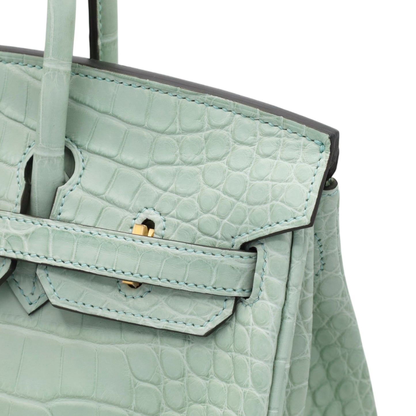 Birkin 25 鳄鱼皮 Matt Verdeaux GP W 雕刻