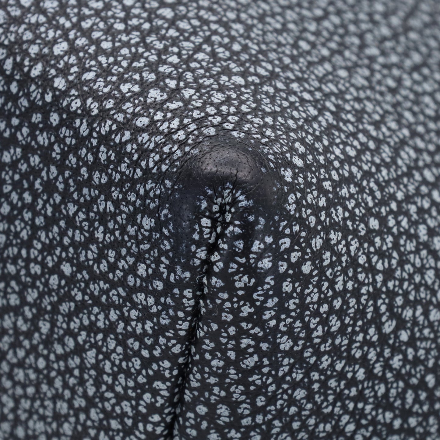 ベルランゴPM　ダルメシアン　ブッフルスキッパ―　ブラック　SS　□G刻印