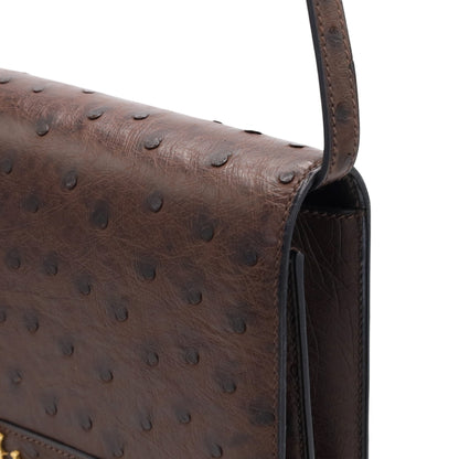 Eugenie Ostrich Brown GP