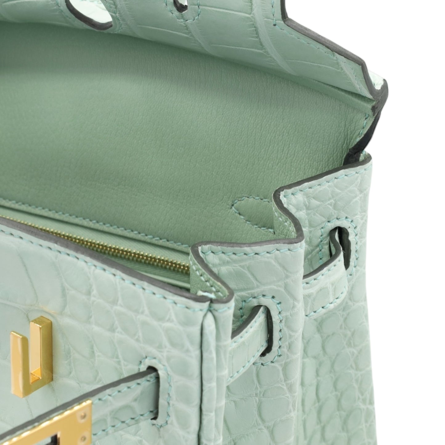 Birkin 25 鳄鱼皮 Matt Verdeaux GP W 雕刻