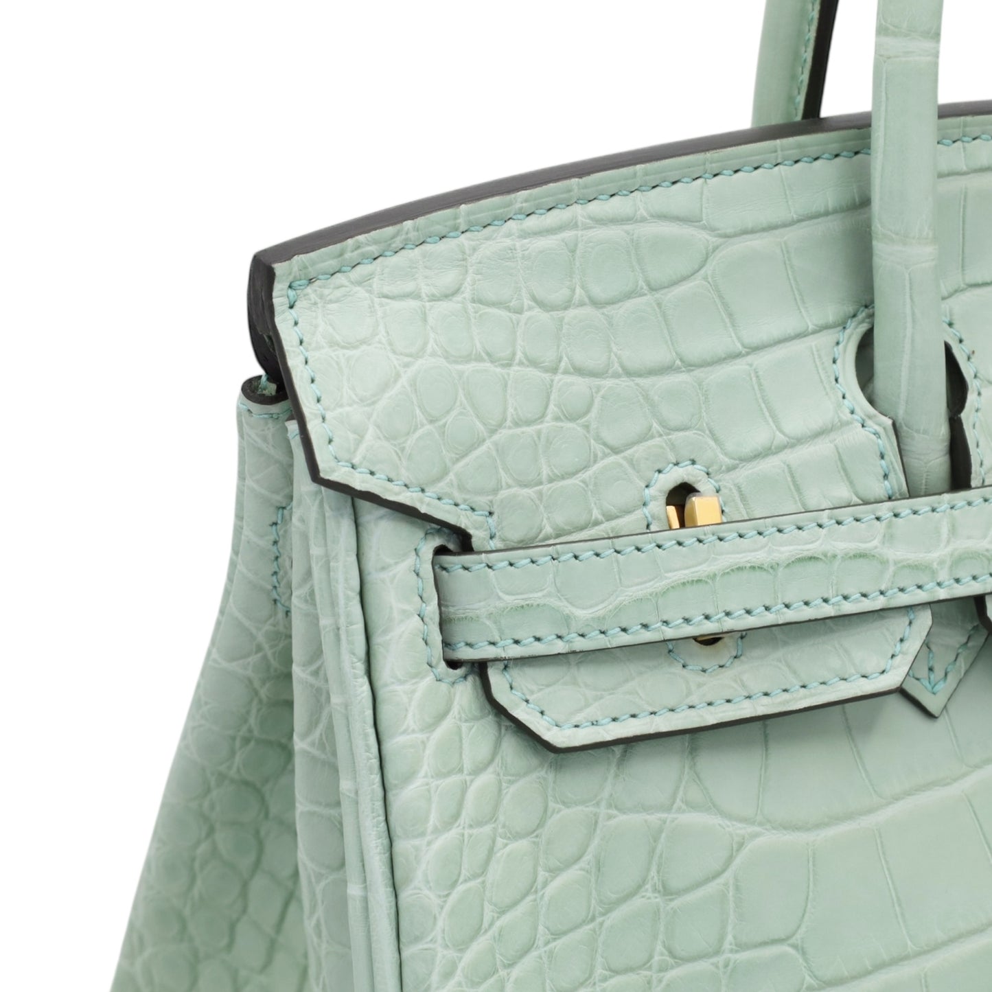 Birkin 25 鳄鱼皮 Matt Verdeaux GP W 雕刻