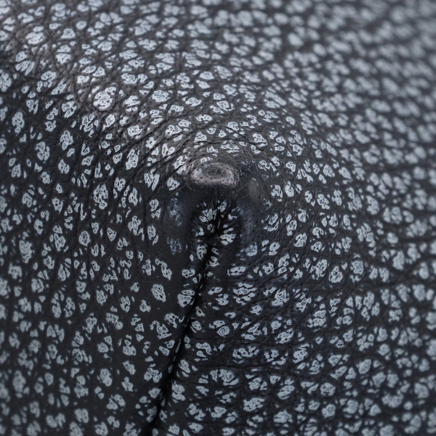 ベルランゴPM　ダルメシアン　ブッフルスキッパ―　ブラック　SS　□G刻印