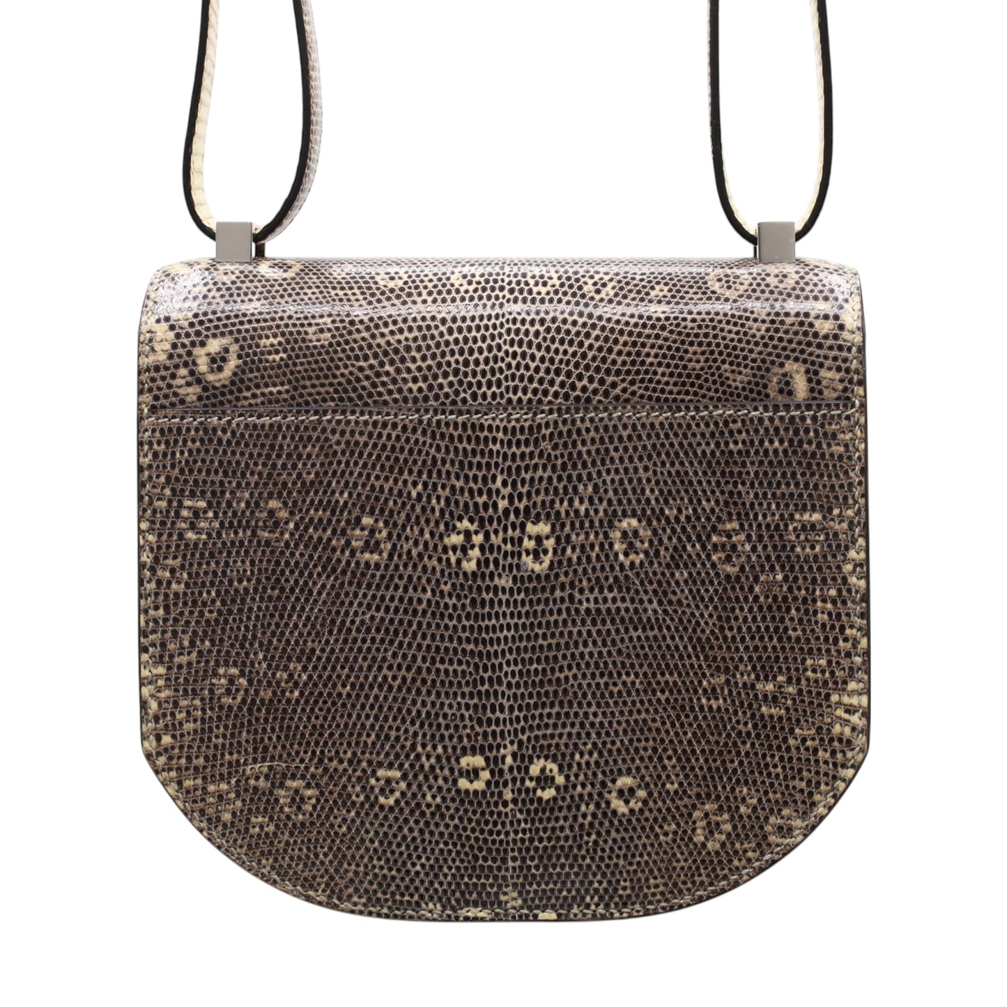 モザイク24　リザード　オンプレ　SS　D刻印