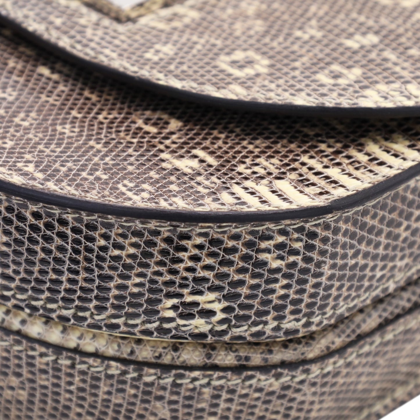 モザイク24　リザード　オンプレ　SS　D刻印