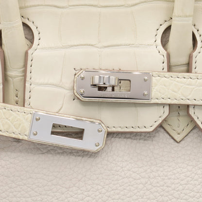 Birkin 25 Touch Alligator Matte Togo Beton SS W Engraved