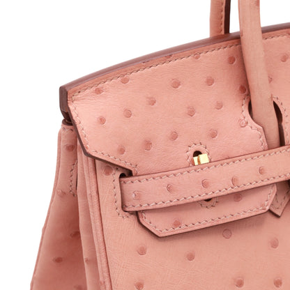 バーキン25　オーストリッチ　テリキュート　GP　B刻印