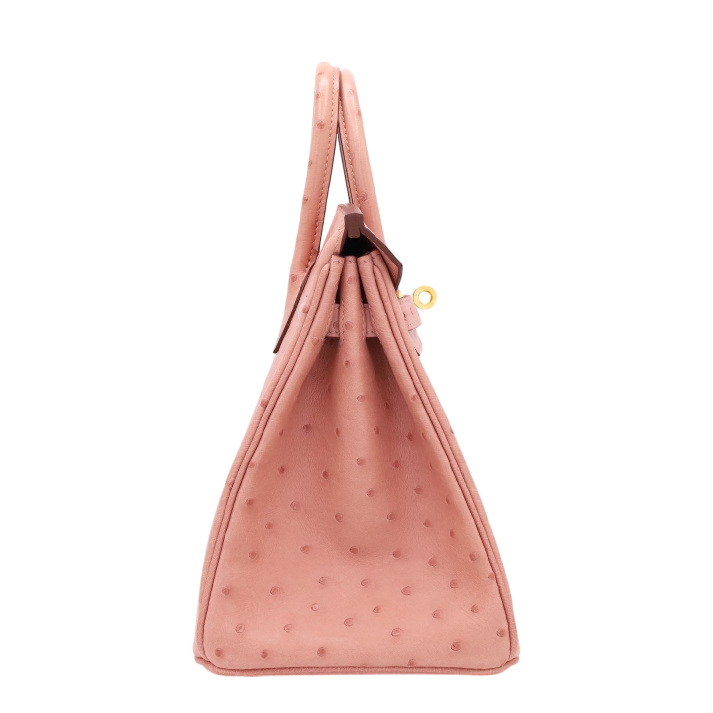 バーキン25　オーストリッチ　テリキュート　GP　B刻印