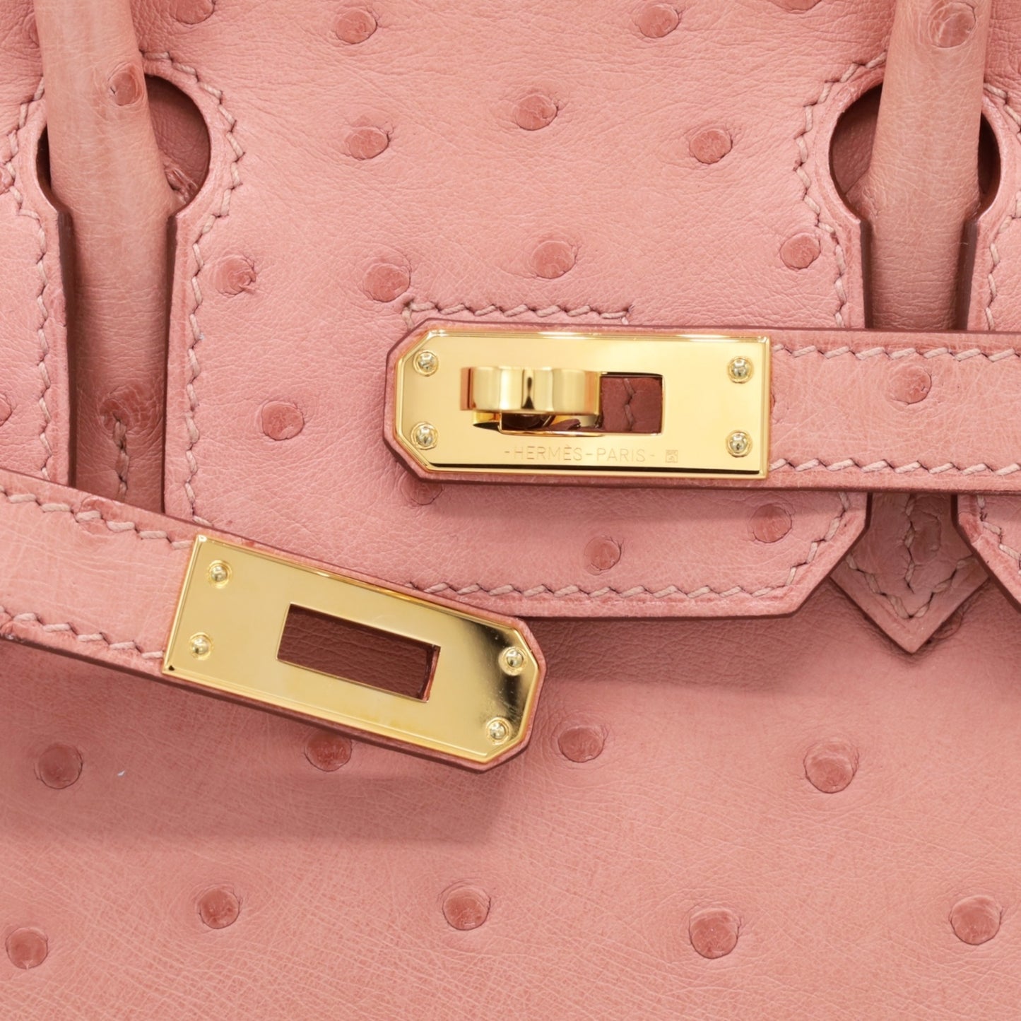 バーキン25　オーストリッチ　テリキュート　GP　B刻印