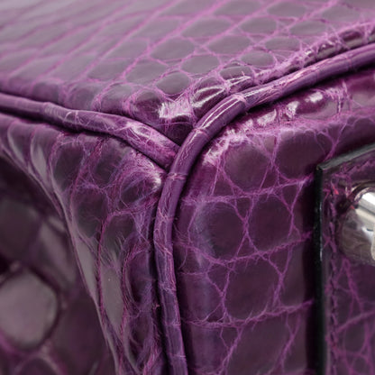 Birkin 25 尼罗紫水晶 SS XStamp