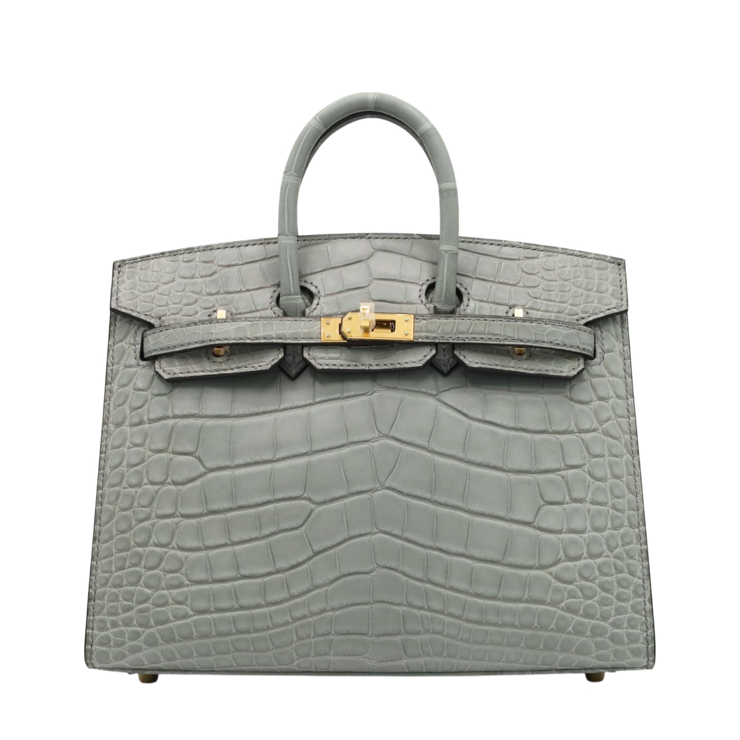 Birkin 20 Alligator Matt Griciman GP WStamp