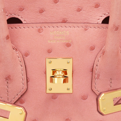 バーキン25　オーストリッチ　テリキュート　GP　B刻印