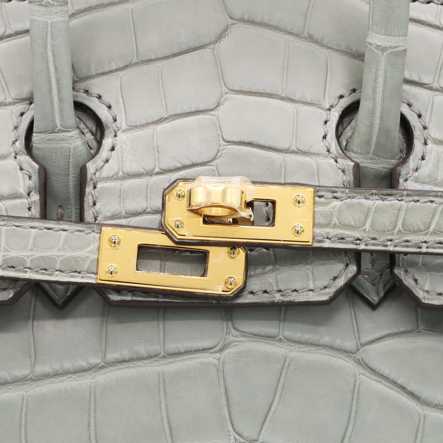 Birkin 20 Alligator Matt Griciman GP WStamp
