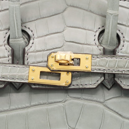 Birkin 20 Alligator Matt Griciman GP WStamp