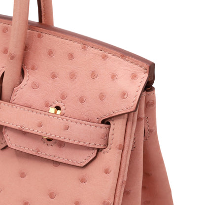 バーキン25　オーストリッチ　テリキュート　GP　B刻印