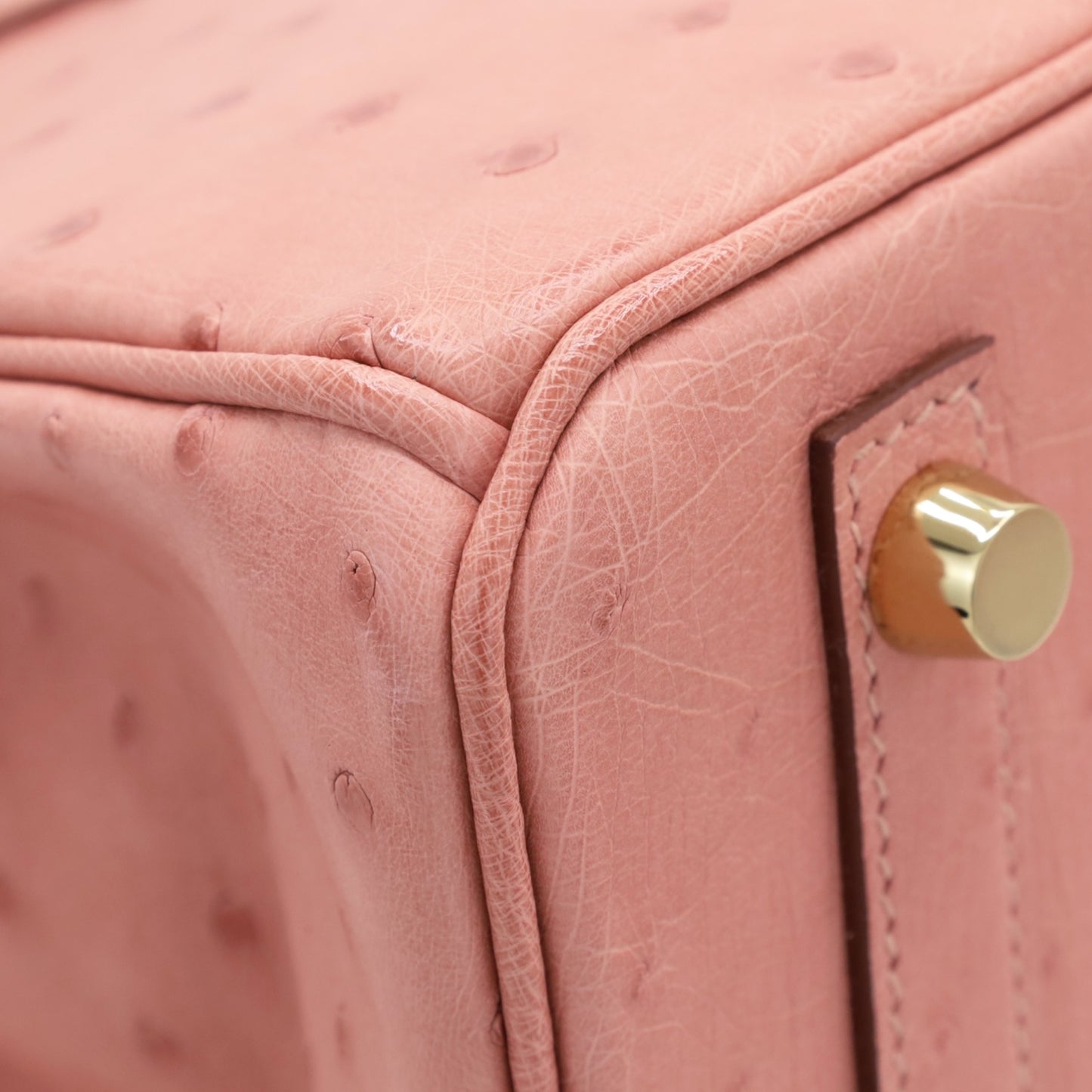 バーキン25　オーストリッチ　テリキュート　GP　B刻印