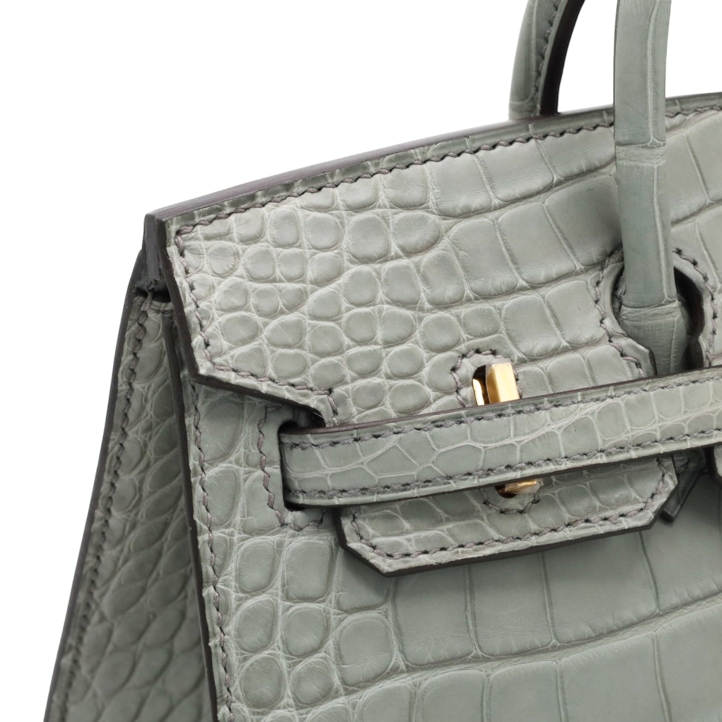 Birkin 20 Alligator Matt Griciman GP WStamp