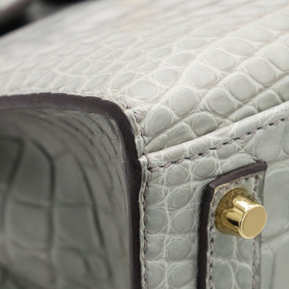 Birkin 20 Alligator Matt Griciman GP WStamp