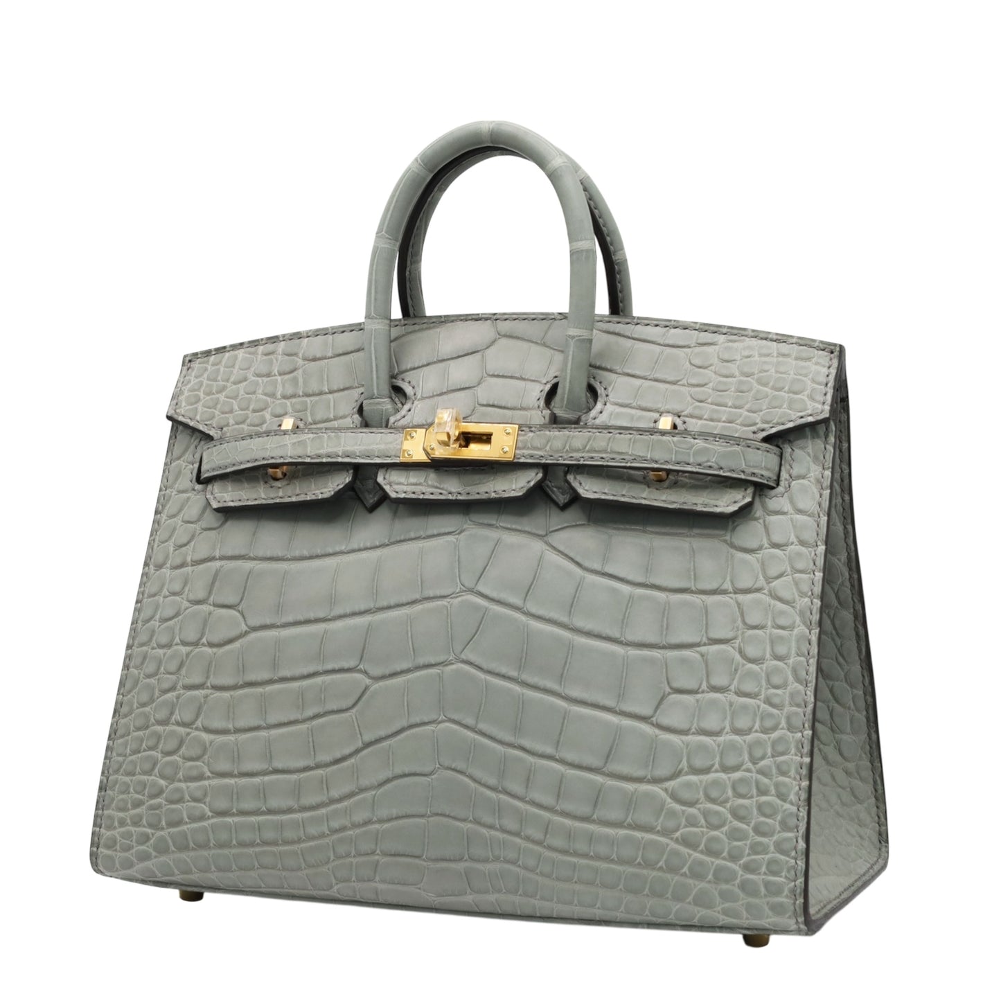 Birkin 20 Alligator Matt Griciman GP WStamp