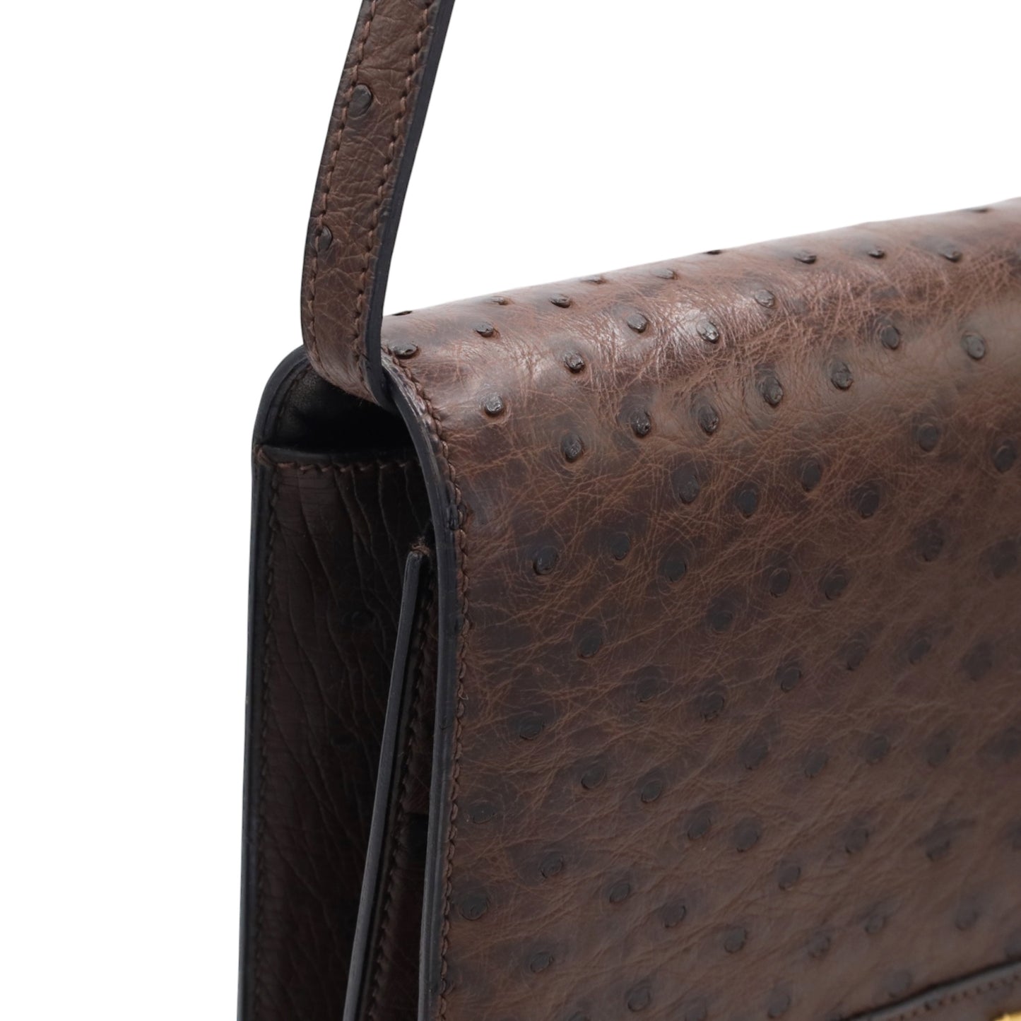 Eugenie Ostrich Brown GP