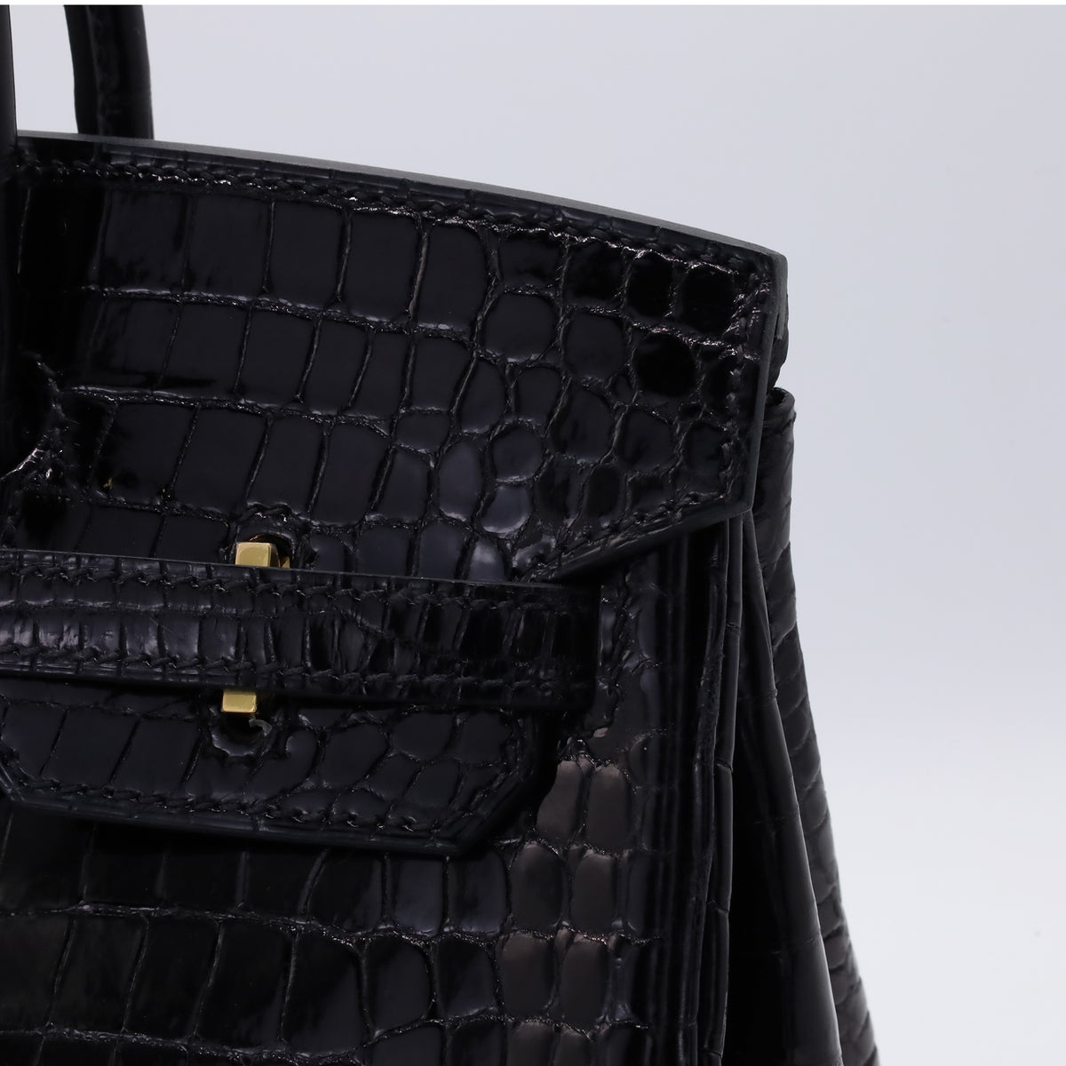 Birkin 25 Porosus Black GP ZStamp
