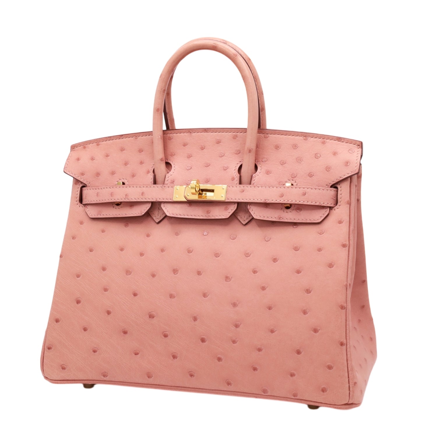 バーキン25　オーストリッチ　テリキュート　GP　B刻印