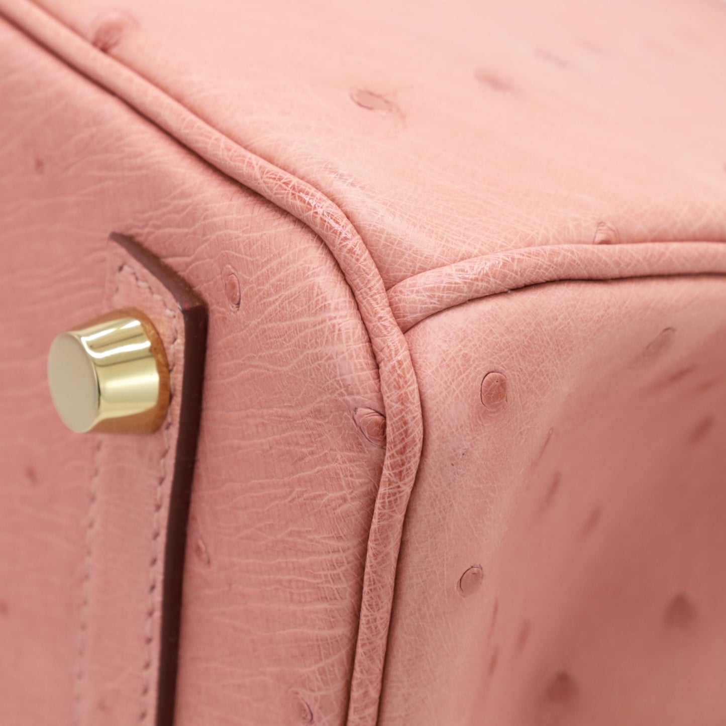 バーキン25　オーストリッチ　テリキュート　GP　B刻印