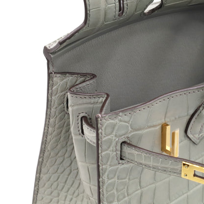 Birkin 20 Alligator Matt Griciman GP WStamp