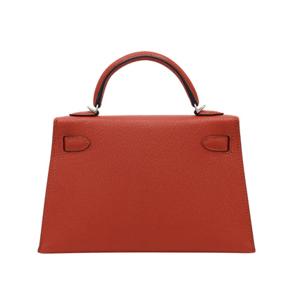 ミニケリー2　アマゾン　シェーブル　キュイーブル　SS　U刻印