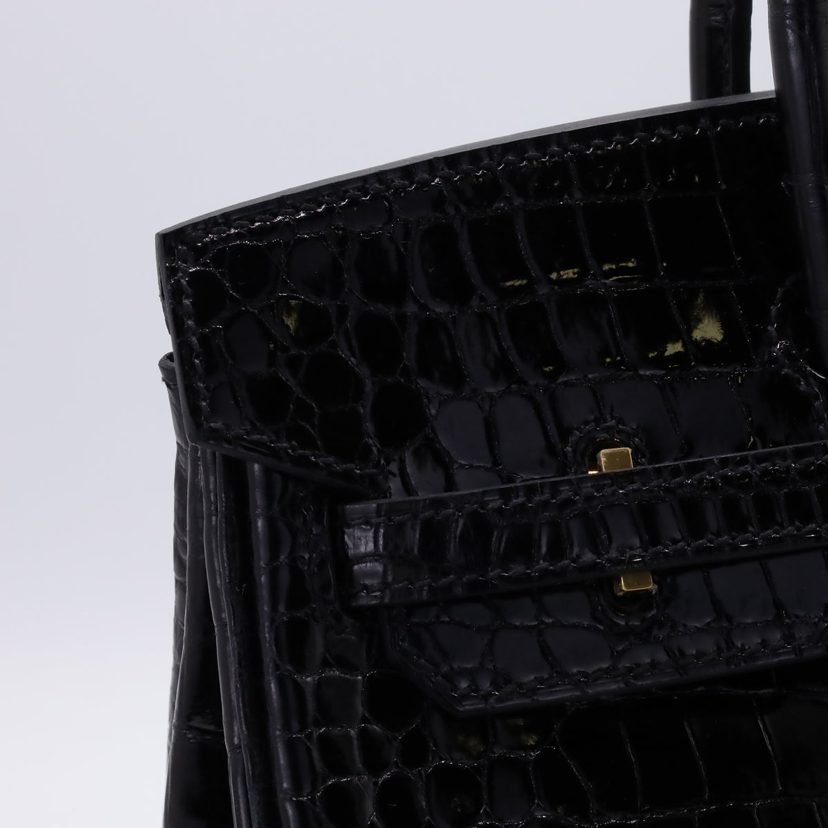Birkin 25 Porosus Black GP ZStamp