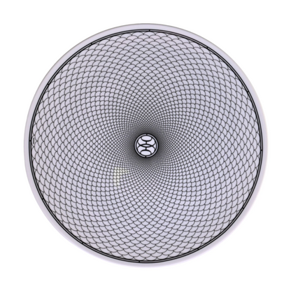 アッシュデコ　ディナープレート　ブラック