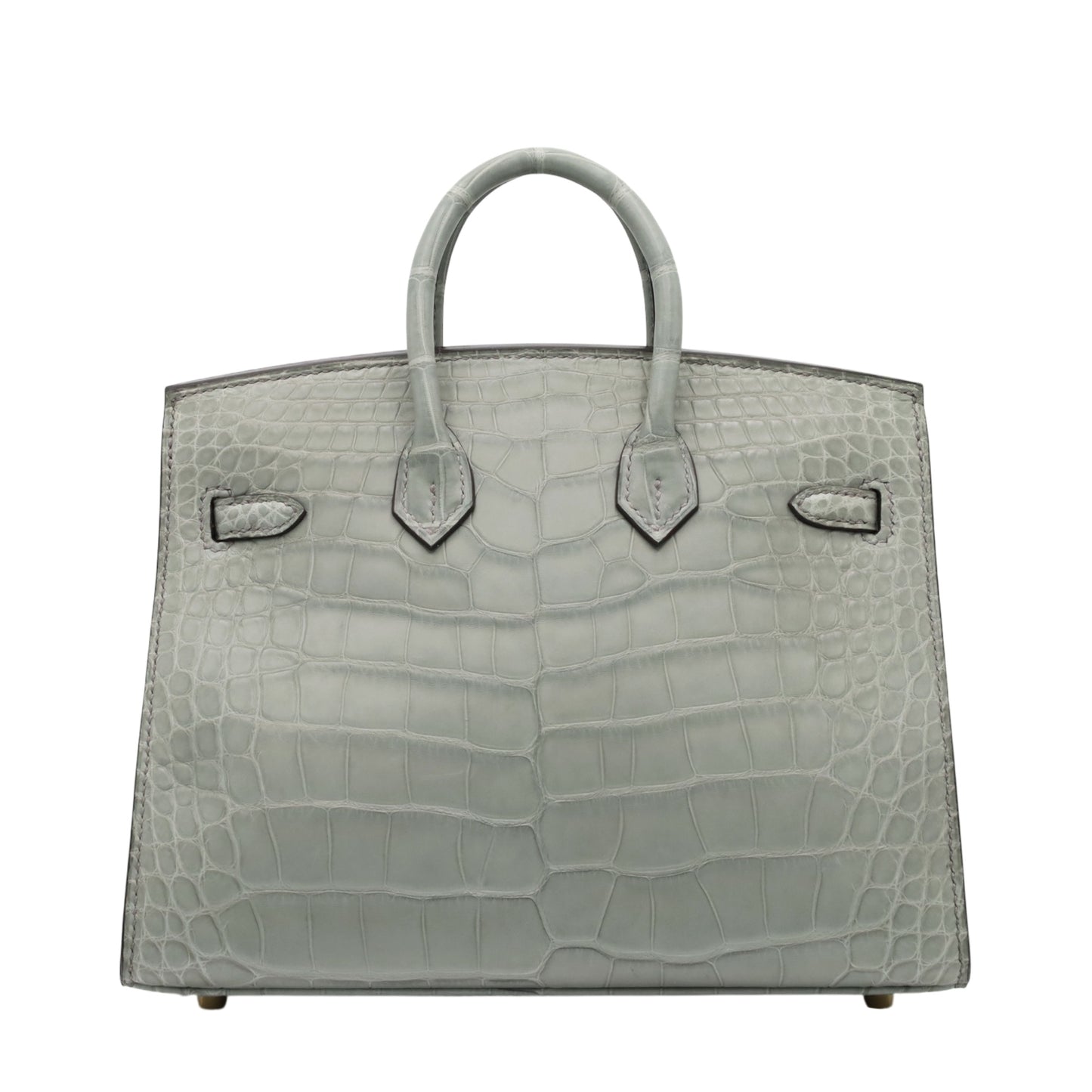 Birkin 20 Alligator Matt Griciman GP WStamp
