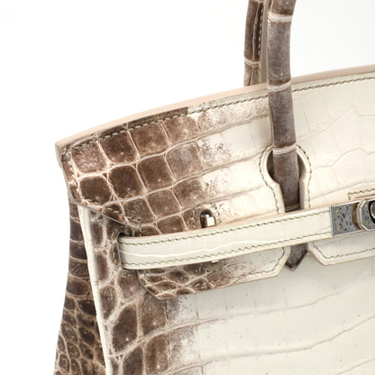 Birkin 25 尼罗河哑光喜马拉雅 SS TStamp