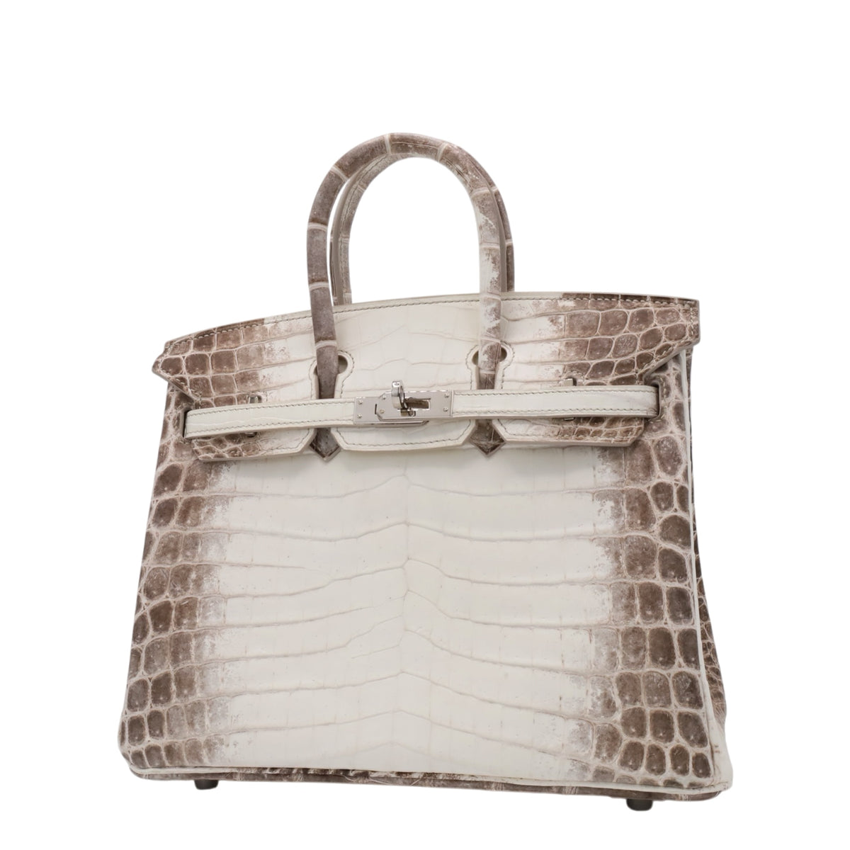 Birkin 25 尼罗河哑光喜马拉雅 SS TStamp