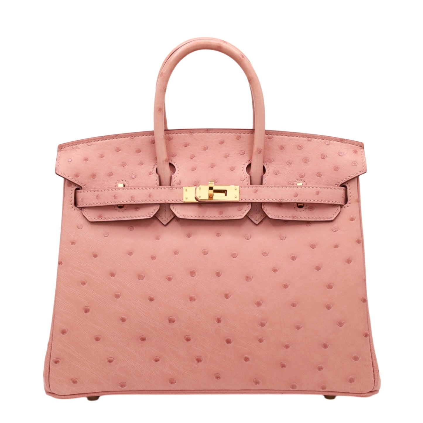 バーキン25　オーストリッチ　テリキュート　GP　B刻印